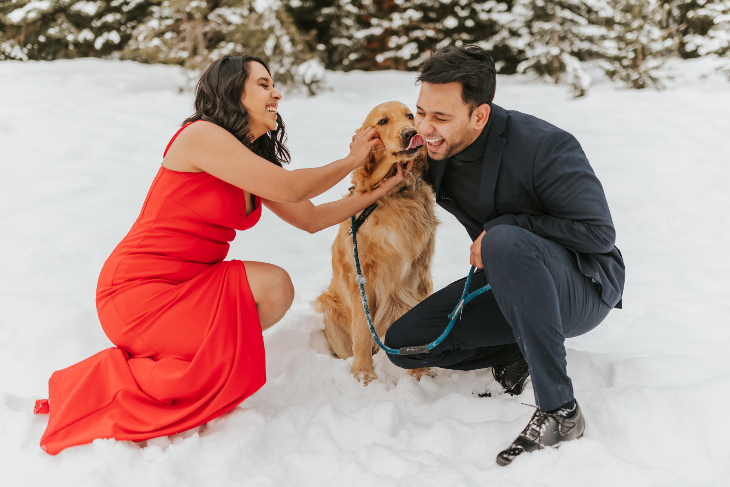 Engagement Photos with Dog in the Pine Trees